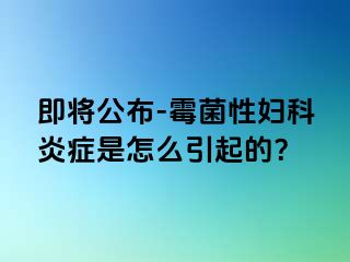 即将公布-霉菌性妇科炎症是怎么引起的？