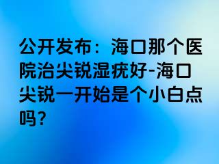 公开发布：海口那个医院治尖锐湿疣好-海口尖锐一开始是个小白点吗？