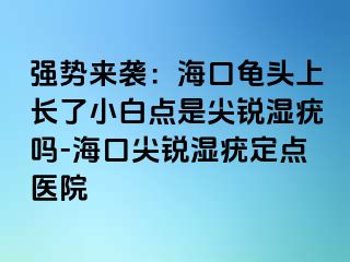 强势来袭：海口龟头上长了小白点是尖锐湿疣吗-海口尖锐湿疣定点医院